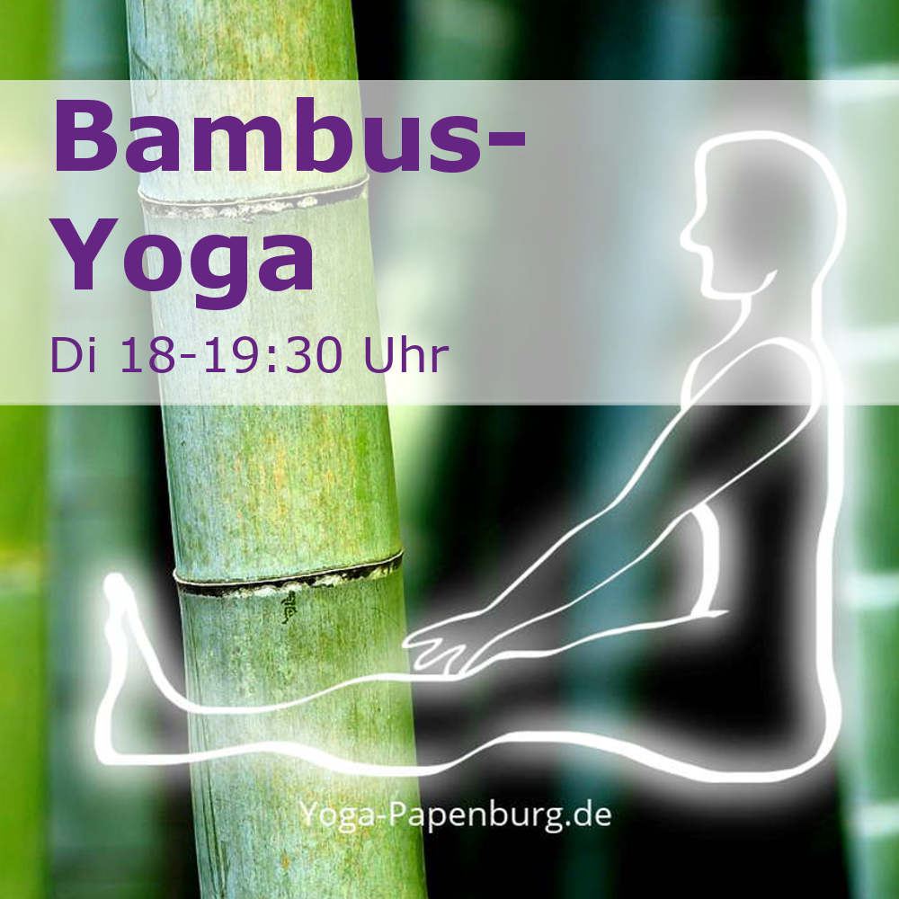 Bambus-Yoga: ein leuchtender Yogi im Langsitz vor einigen grünen Bambus-Stangen.