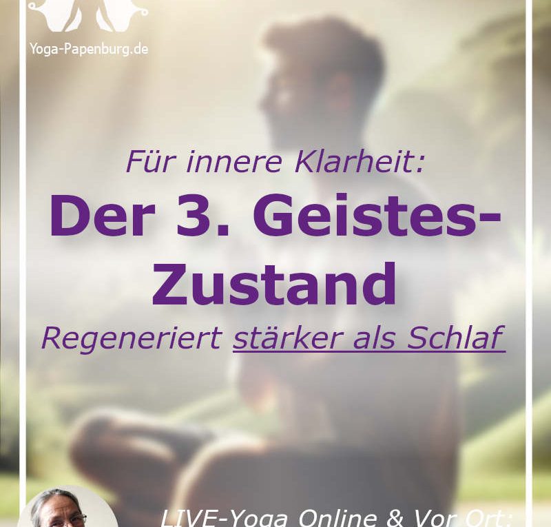 Mann meditiert in der Natur bei hellem Licht - Mentale Klarheit durch Atemübungen bei Stress + Yoga und Meditation