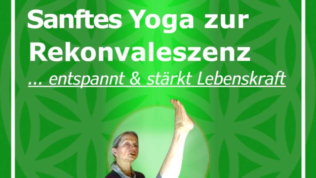 Mahashakti zeigt dir eine Knie-Übung im Sitzen - Bambus-20241015 Yoga für Rekonvaleszenz und Lebenskraft mit WS-Lockerung und Gelenkemobilisierung - einfach